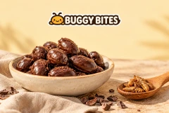 Buggy Bites branded bowl of roasted insect snacks